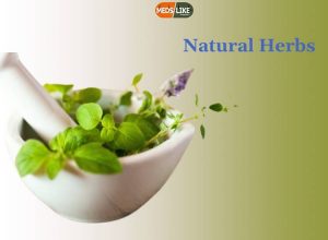 Herbs