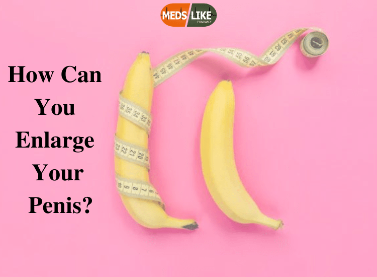 Penis