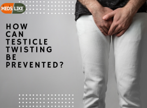 Testicle