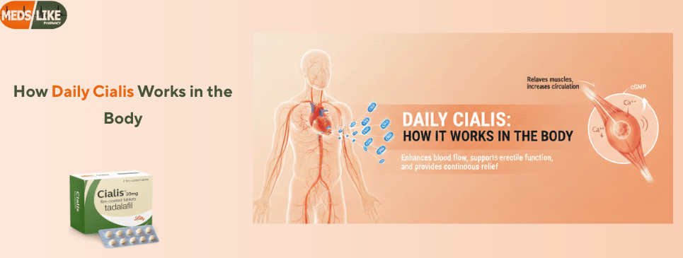 How Daily Tadalafil Works in the Body