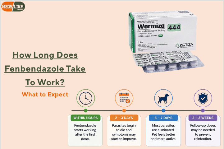 How Long Does Fenbendazole Take to Work