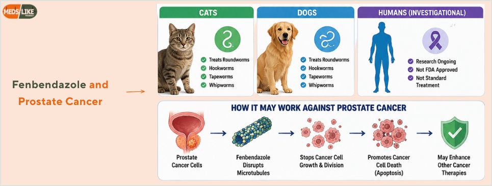 fenbendazole and prostate cancer