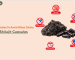 Shilajit Capsules